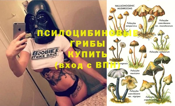 прущий лед Белокуриха