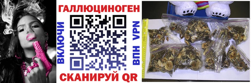 Галлюциногенные грибы MAGIC MUSHROOMS Белорецк