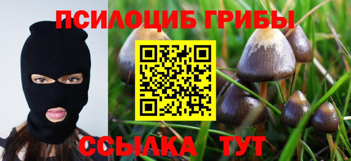 Псилоцибиновые грибы Cubensis  Галлюциногенные грибы GOLDEN TEACHER  Вход с VPN  Белорецк 